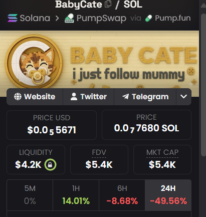 Thami_SA_nqa's tweet photo. $babycate on Solana down bad. Bottom in.

Few $ buys a decent bag at this level.. Solana memes always pump the hardest when the different chains go head to head. $5k MC is crazy business.

CA: Fpu4MNh6MfSu6kAzugvHgW8FnGEXfym9raHP8TpBrKJR https://t.co/pCF2XVtG7N