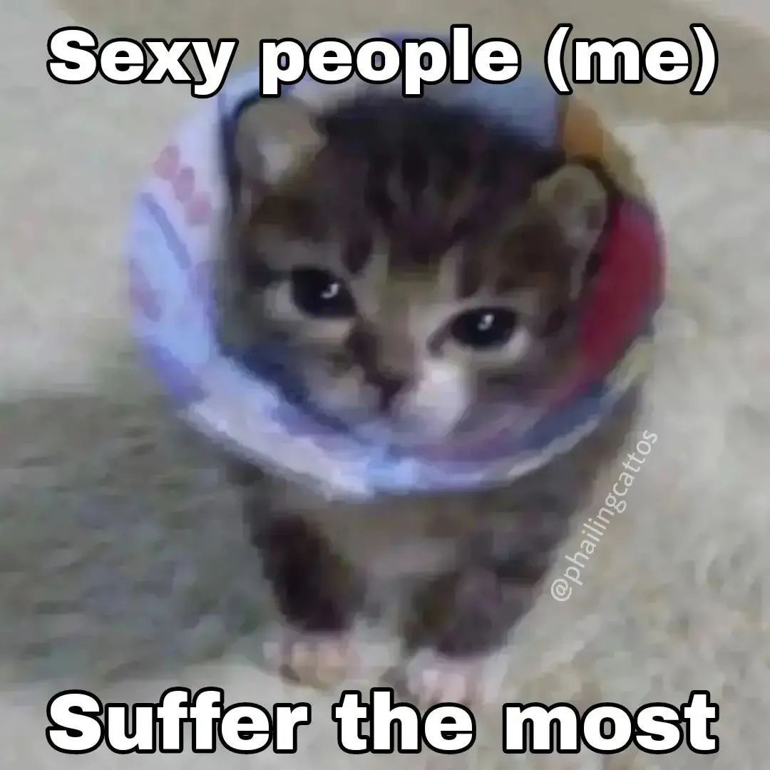 cutestuffokily's tweet photo. https://t.co/mCpDL2Kwg2