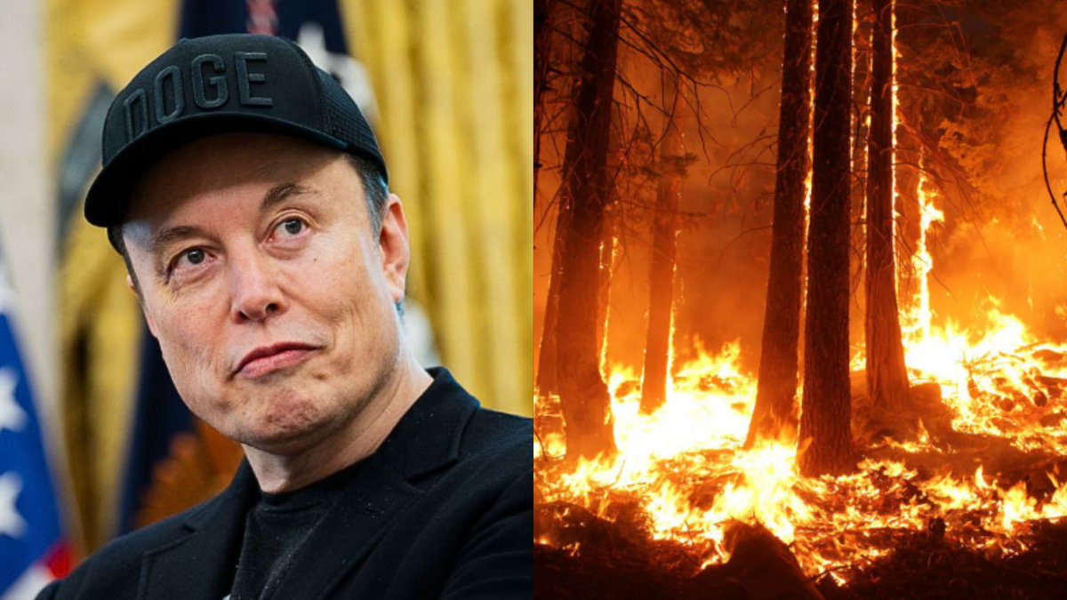 GOP__Ls's tweet photo. 🚨 REPORT: Elon Musk’s DOGE cuts have severely increased the risk of mass wildfires burning populated areas to the ground. https://t.co/fVstSZ2JNO
