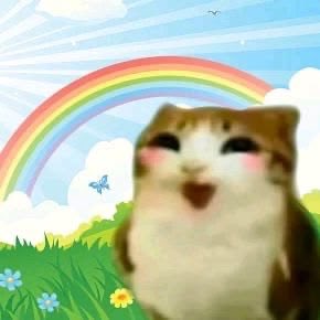 75xvz's tweet photo. updating my friends on my reading progress as if they gaf https://t.co/KPYR56trLL