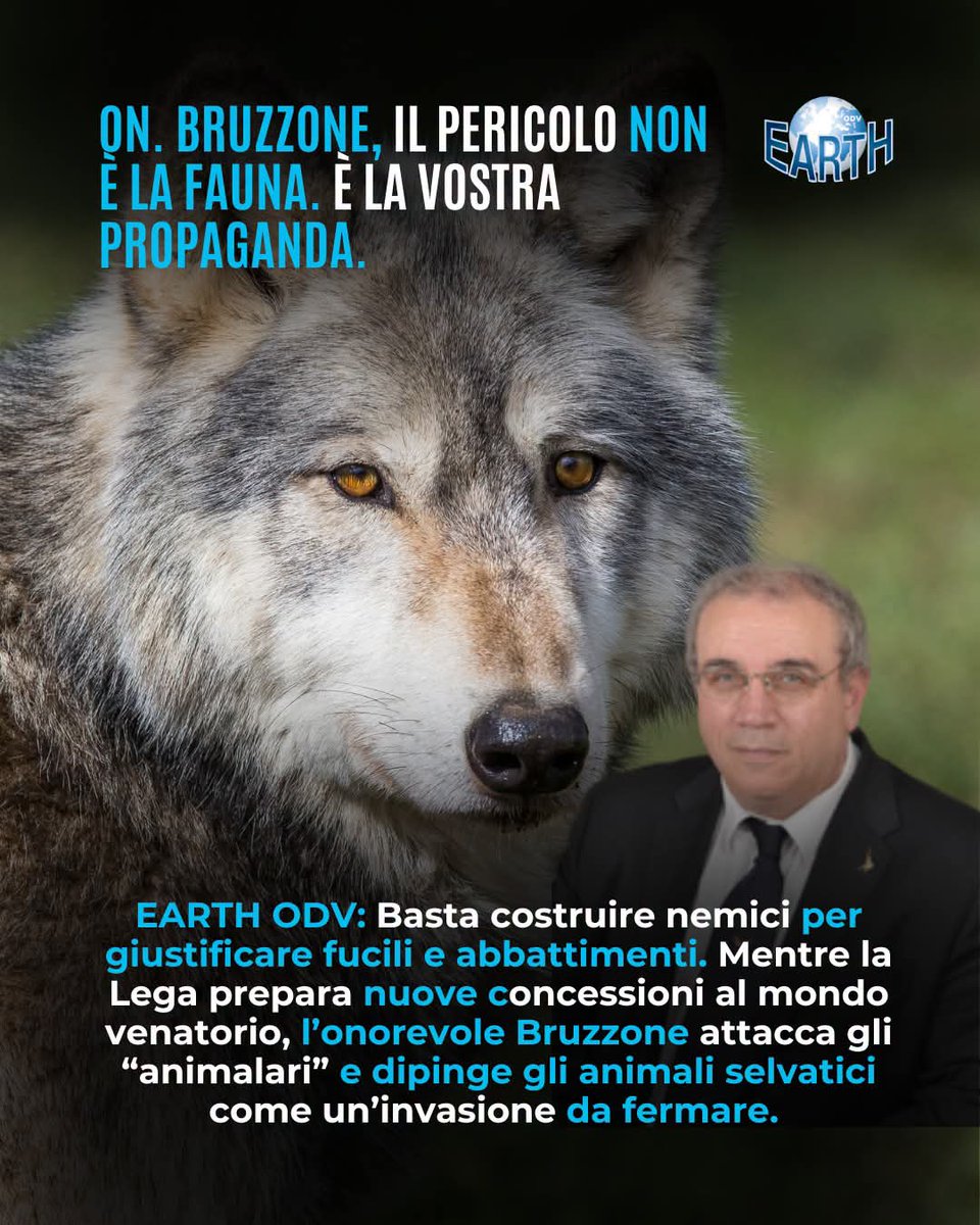 gianni_runco's tweet photo. DDL caccia la maggioranza corre l'opposizione vacilla... NO AL DDL SPARATUTTO... 💩🤮 @GiorgiaMeloni #IoMiOppongo #noddlcaccia #stopcacciaselvaggia #GOVERNODELLAVERGOGNA #animalrights #crueltyfree #Vegan #veganworld #empatia #biodiversita #animalliberation #compassion https://t.co/C1whNoncYw