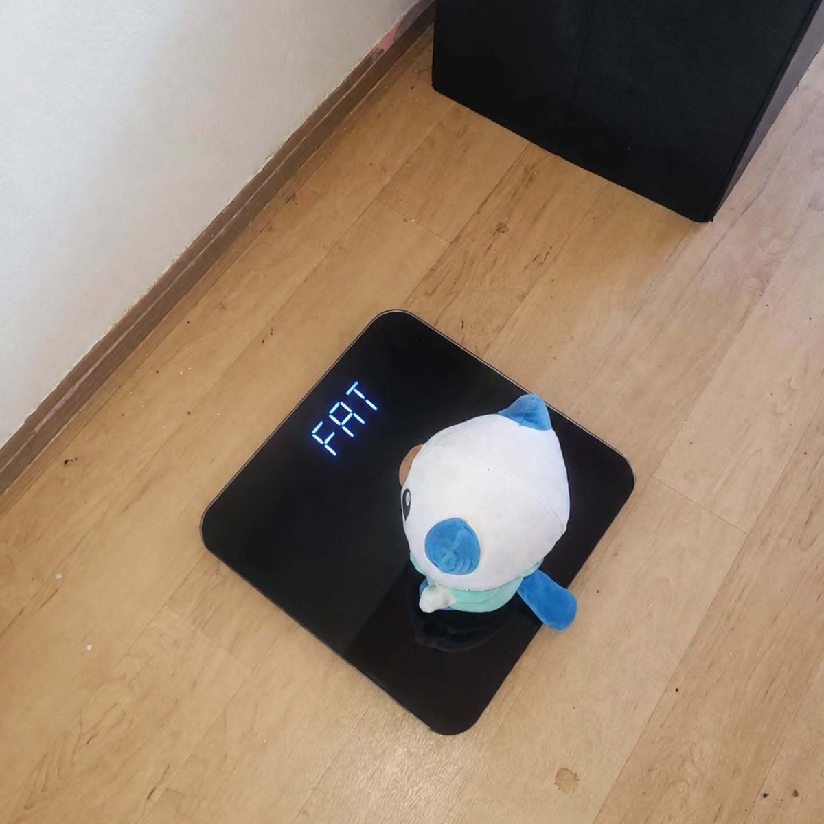 pokemon_daily's tweet photo. https://t.co/FJ4jIUEWlQ