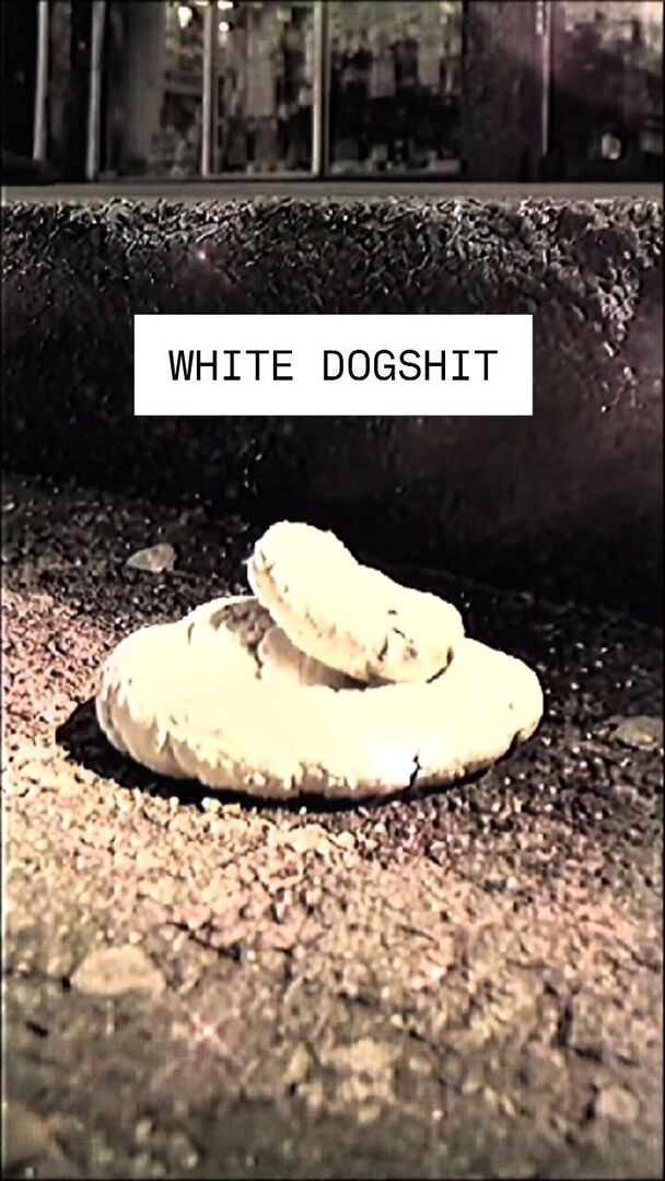 sossygauses's tweet photo. Oh, #whitedogshit my old friend 🎵
#songoftheday #shaboingboings #sixmilebottom

💿 "White Dogshit (Where Have You Gone?)" is on the album 🪻Plum &amp; Deep Regret which is available wherever you get your music. https://t.co/FcQ9xkrTBl https://t.co/o0GT8VVDWe