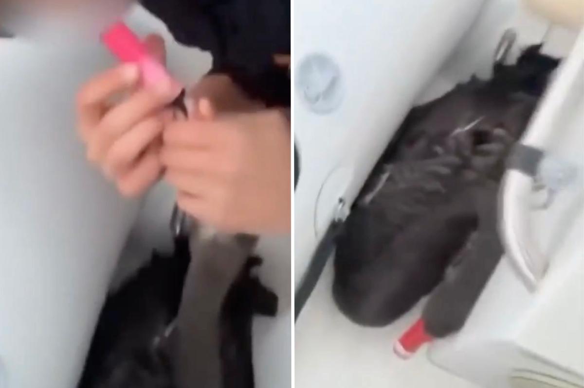 nypost's tweet photo. Teens charged with animal cruelty for alleged forcing vape fumes down swan's throat https://t.co/pXNzg6xPW1 https://t.co/WhaafkCeis