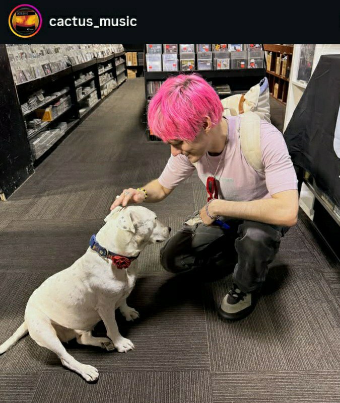 silverl1n3's tweet photo. New “awsten with doggo” pic just dropped 🥰🐕 https://t.co/YbJeEAeeLm
