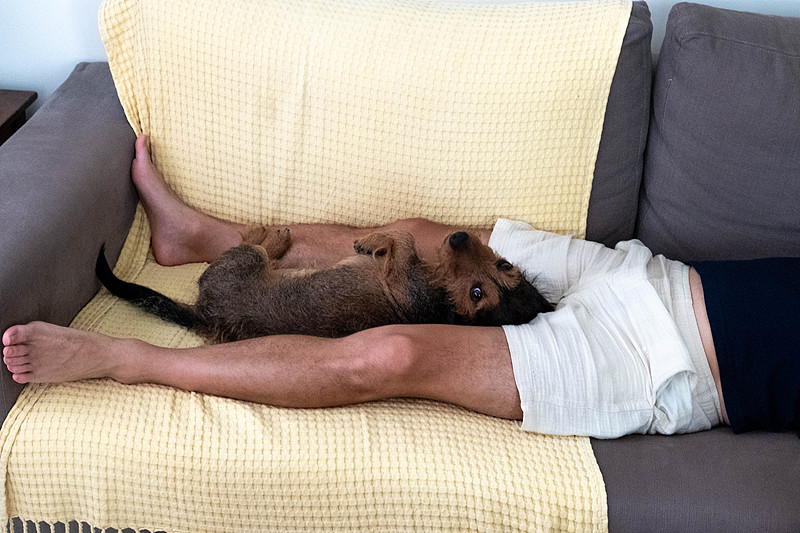 dkpit38264371's tweet photo. My pup curled up on my lap as I worked today—best work buddy a person could ask for  Nothing beats the quiet comfort of a loyal friend by your side. https://t.co/DAnIYJ2lz7
