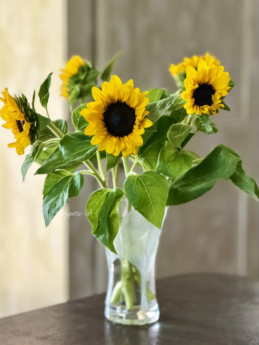 BrigitteB55's tweet photo. 🌻🌻 Du marché à la maison 🌻🌻
#Antibes 💛 https://t.co/O2XfTwFNIh