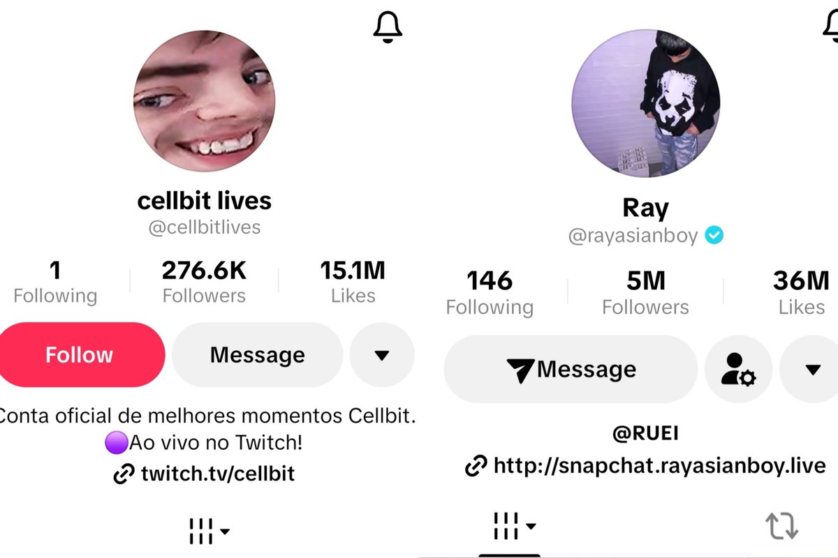 tyqxf7_'s tweet photo. no shade the way these cellbit fans saying dude is the kai cenat of brazil and is bigger than ray but when you check the stats... and ray gain all this in 2 years and not even consistent.  the other guy been doing this for 12 years or more 😭 ngl ill be mad too lmao https://t.co/GwvYq8OFdE