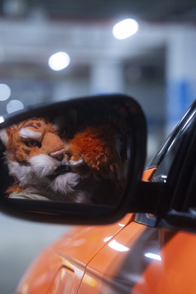TigerHRMS's tweet photo. #furry #fursuit https://t.co/3ho4zUdyJl