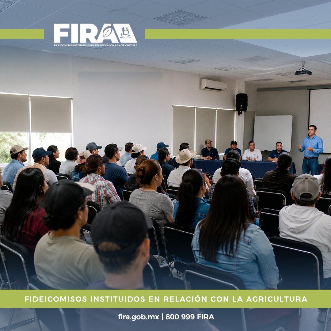 FIRA_Mexico's tweet photo. En los CDTs de FIRA fortalecemos las capacidades financieras y empresariales mediante capacitación y consultoría, contribuyendo a la inclusión productiva y financiera del sector rural. 

Conoce más: https://t.co/EgfSghtHgd 

#FIRAContigo https://t.co/2AmDQqQeCe