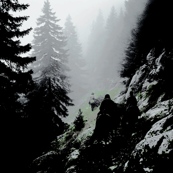 THEKKINGMAKERR's tweet photo. ⠀
A  SILENT  TRUCE  IN  THE  DARK. ( @hightowerhonor )
hand  on  hilt,   eyes  fixed  𝖮𝖭  𝗧𝗛𝗘  𝗦𝗔𝗠𝗘  𝗙𝗜𝗥𝗘. 
                         ACTUALIDAD. 
⠀ https://t.co/NDtjOztHRF