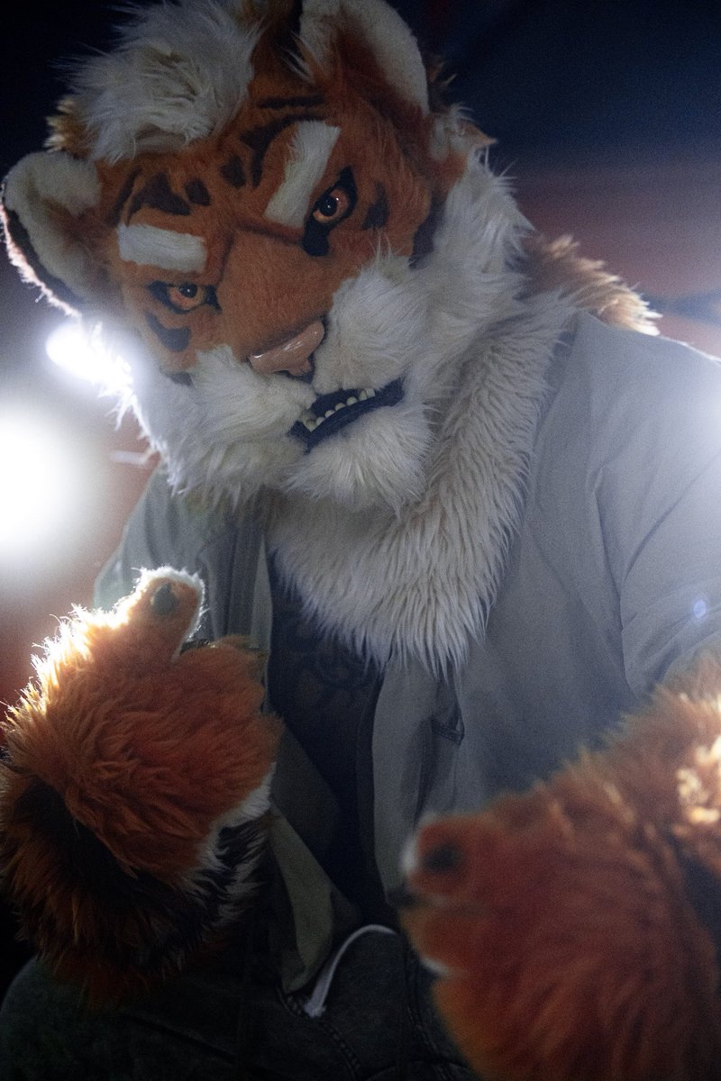 TigerHRMS's tweet photo. ＃furry #fursuit https://t.co/IzgK5LwvR5