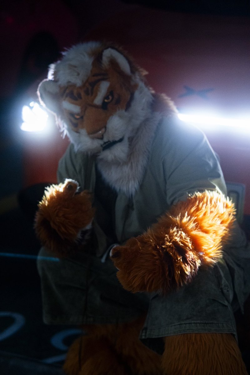 TigerHRMS's tweet photo. ＃furry #fursuit https://t.co/IzgK5LwvR5