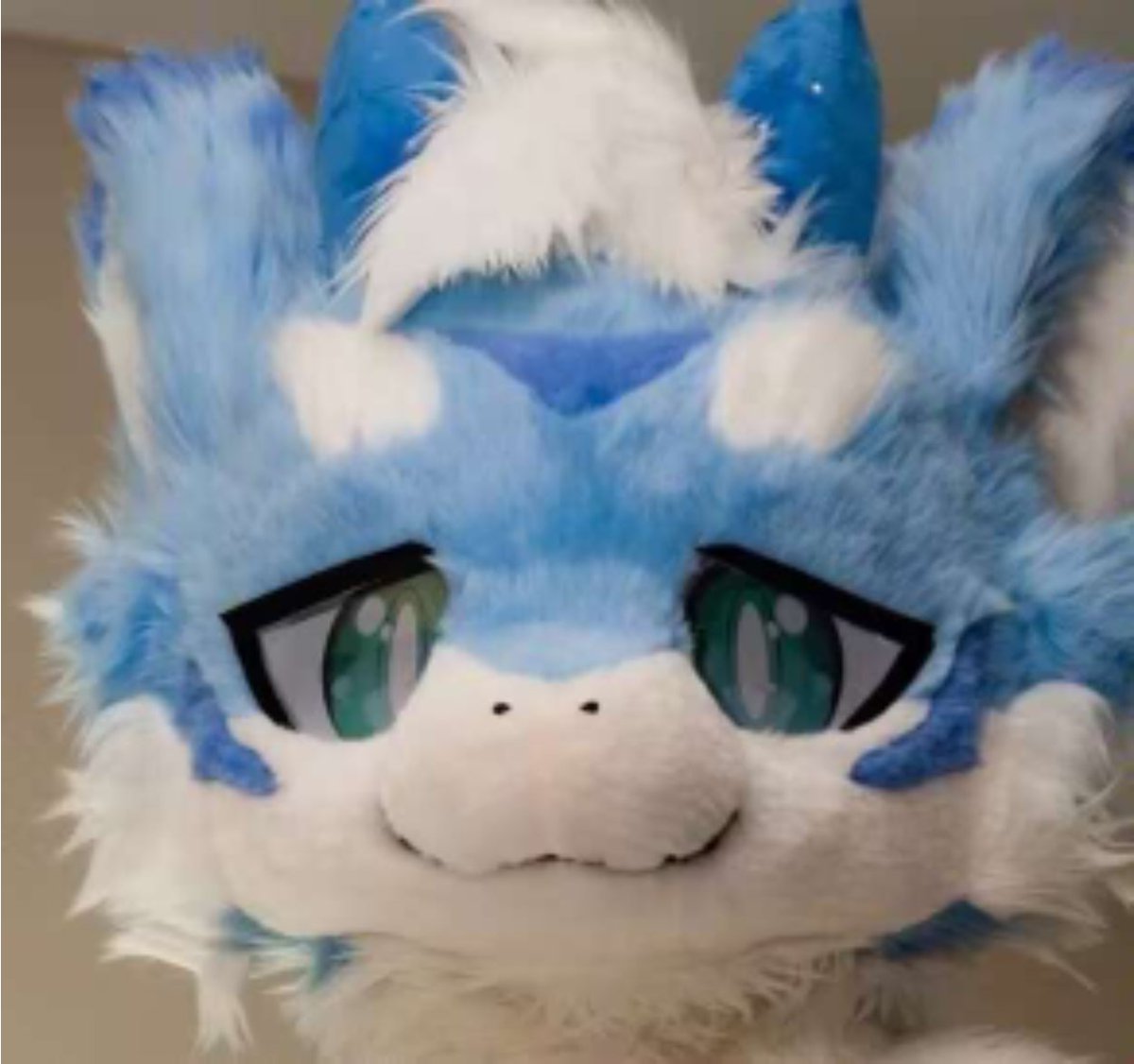 Yunzer_Fox's tweet photo. @pulanQAQ https://t.co/N5etYIcaIu