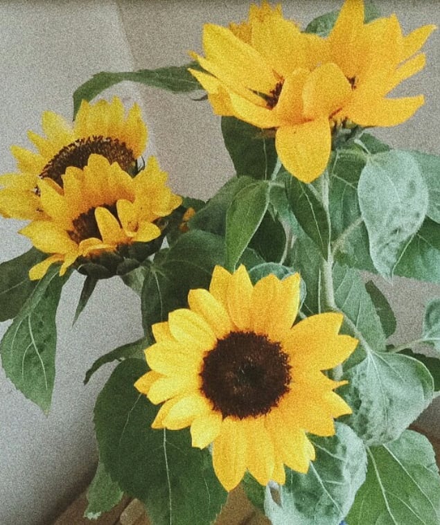Mo_SaiFy's tweet photo. Hi friend! 🌈 Today is a great day because you are stronger than you think and today is full of possibilities. 🌼
TEpU https://t.co/GBPUq6ZjQd