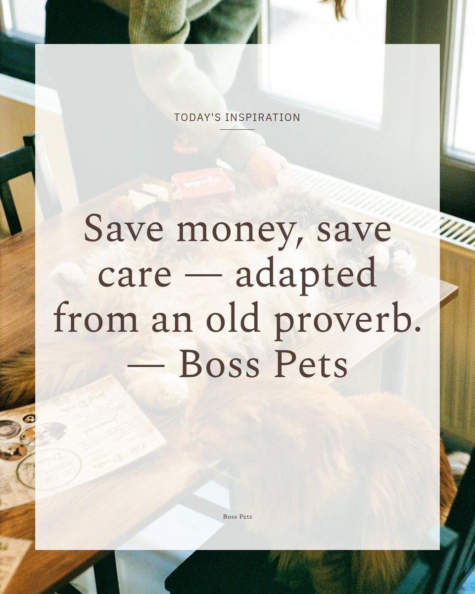 BossPets's tweet photo. Save money, save care" — seasonal offers help you keep up preventive supplies without compromising quality. Stock up on trusted food, flea treatments and grooming tools at reduced prices. #PetCare #PetWellness Tap the link in bio. https://t.co/Q9k8nUUh90