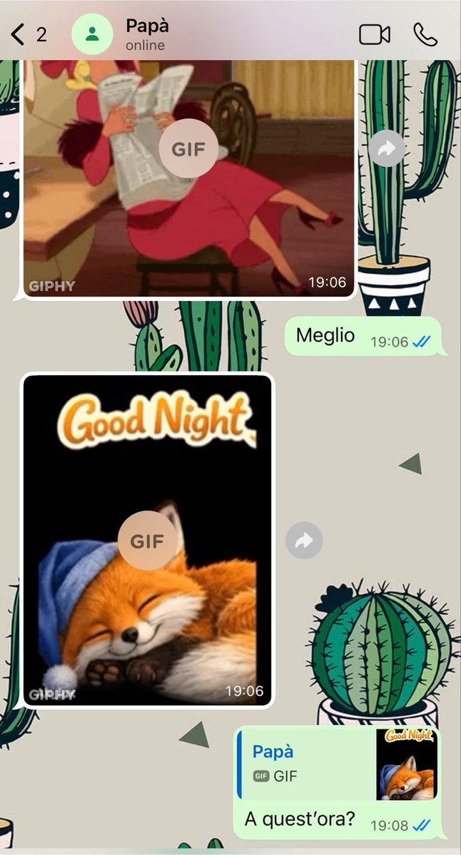 jackiescinema's tweet photo. I know my dad has just found out what gifs are bc why is he sending me a good night gif at 7pm 😭 https://t.co/AH7ilCmGVF