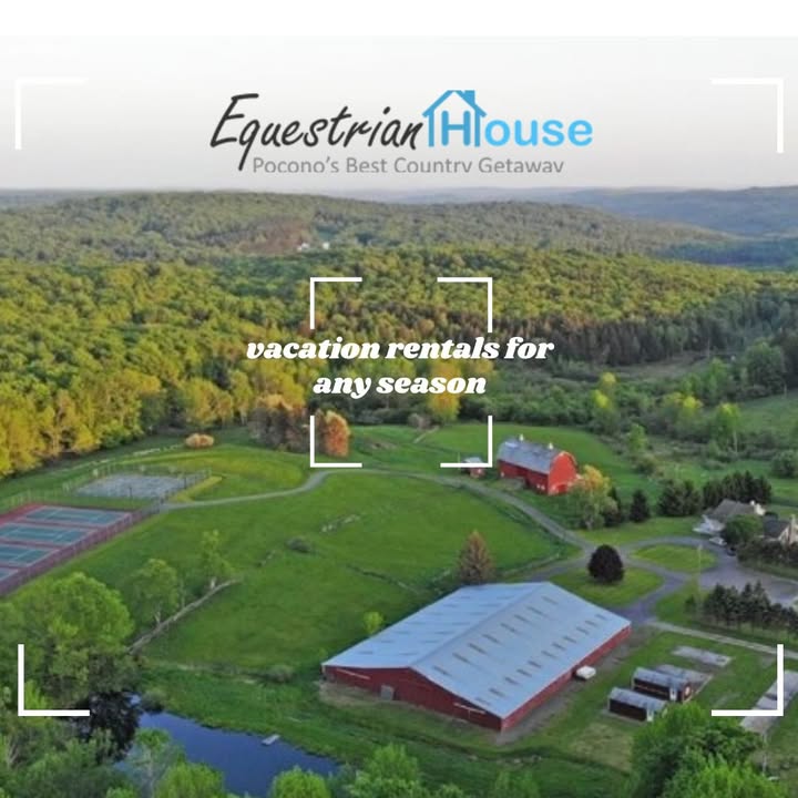 EquestrianPA's tweet photo. Wondering where to travel next? We have ideas!💡 
4BR #logcabin - 🛏 2BR #cottages - 1BR #studios. WiFi, beddings, towels, linens provided. In the North Pocono Mountains.
Book here 👉 https://t.co/LWumaJZmpJ 
#slowtravel #vacationrentals #familyfriendly #dogfriendly #PoconoMtns https://t.co/GYucdxIgrg