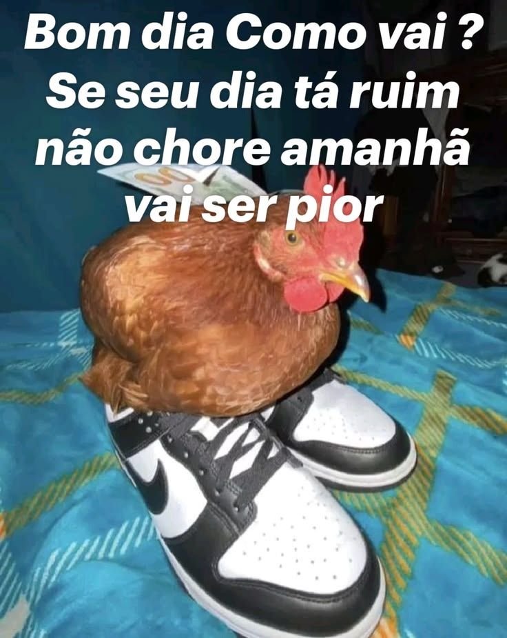 _connellwaldron's tweet photo. assim essas últimas semanas https://t.co/d58Wae1P2h