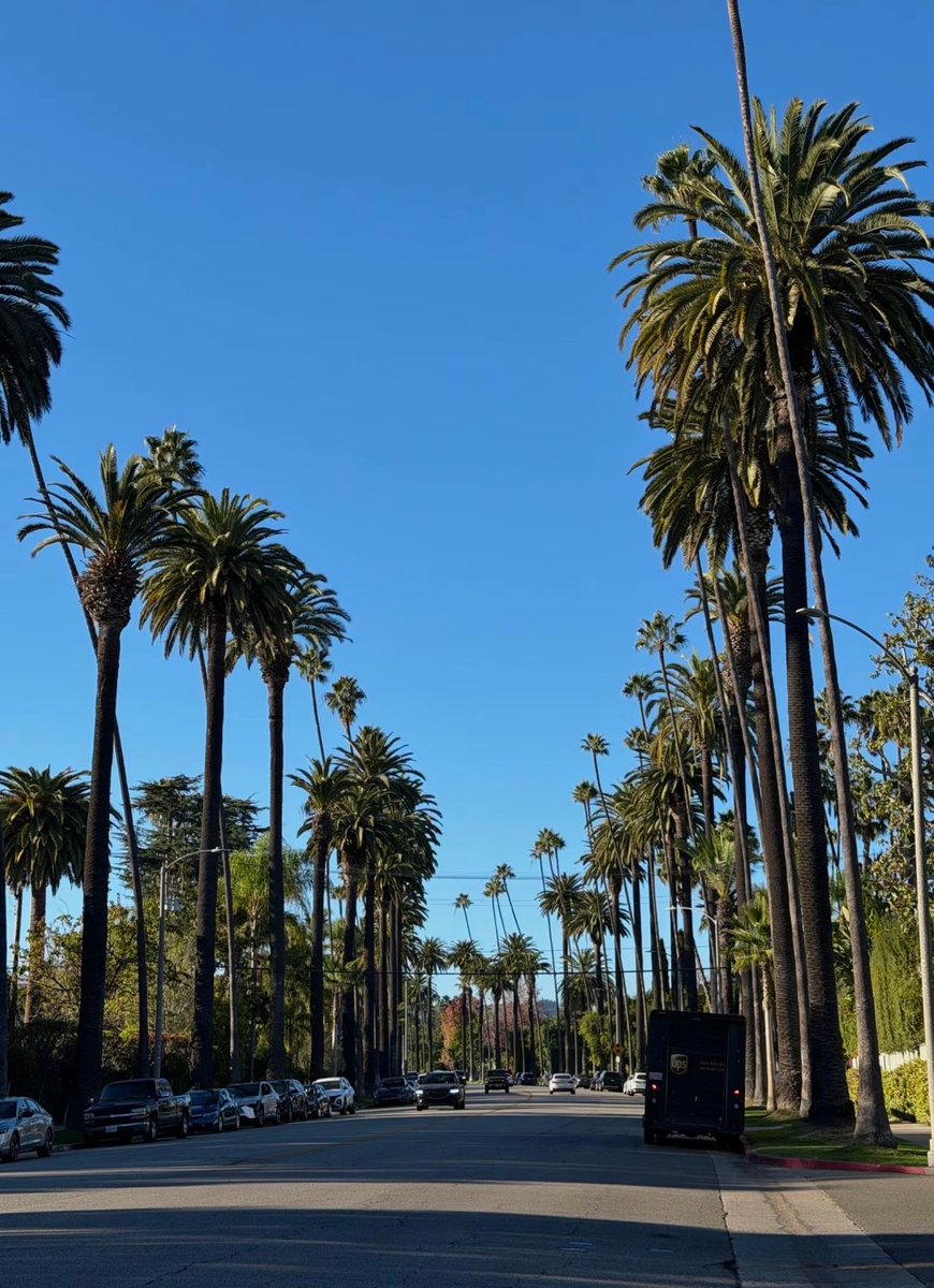 Velmoratie's tweet photo. Such a beautiful sunny view, palm trees always bring a vacation feeling. https://t.co/dxbNMC4kJo