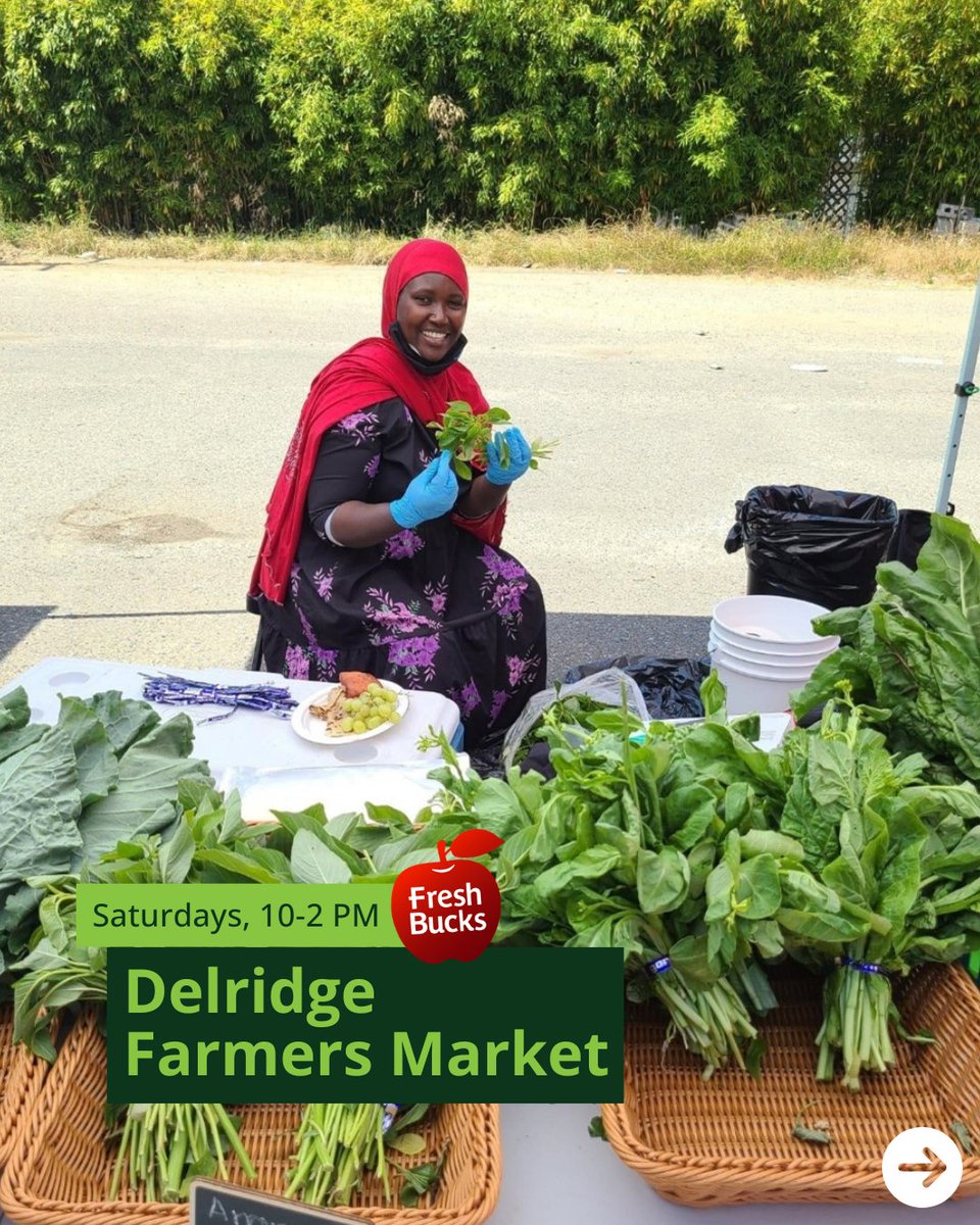 SeattleOSE's tweet photo. Happy #NationalFarmersMarketWeek! 🍓🥕 From August 2–8, we’re celebrating the farmers markets that bring Seattle communities together around fresh, local food 🔍 Learn more and find a Fresh Bucks partner market near you https://t.co/tmwAAavXKz