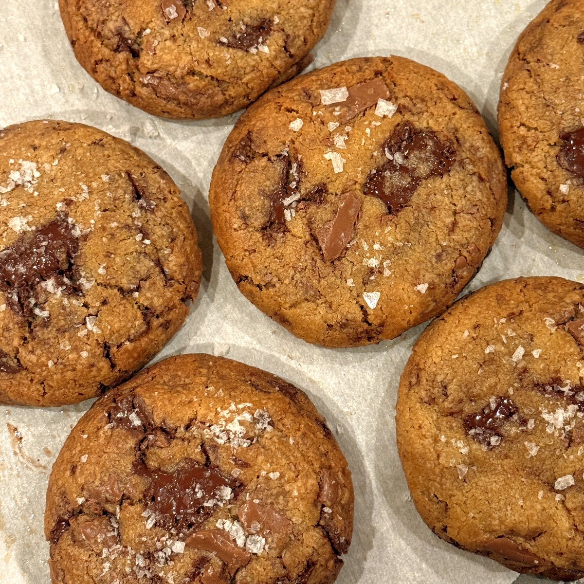 evilwizardbunny's tweet photo. everyday is national chocolate chip cookie day for a real chocolate chip cookie fan like me #chocolatechipcookie https://t.co/rQwcHrPhBQ