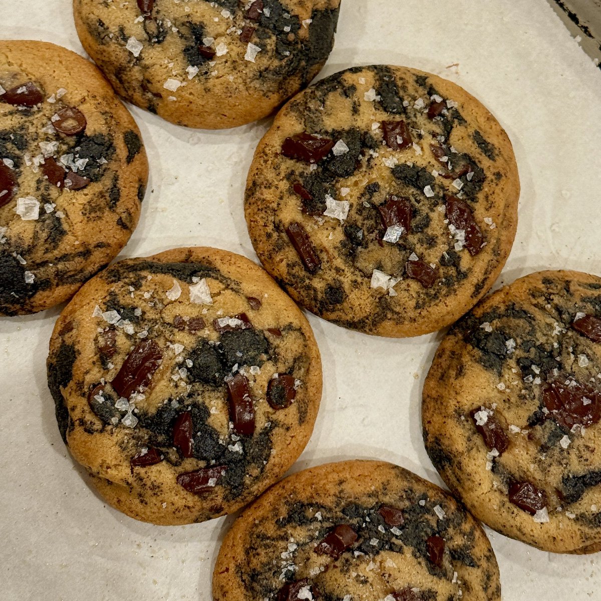 evilwizardbunny's tweet photo. everyday is national chocolate chip cookie day for a real chocolate chip cookie fan like me #chocolatechipcookie https://t.co/rQwcHrPhBQ