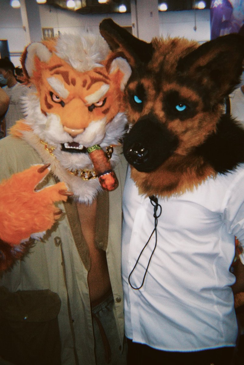 TigerHRMS's tweet photo. 极兽聚快乐合影2！！#furry #fursuit https://t.co/1dZa6J7JqZ