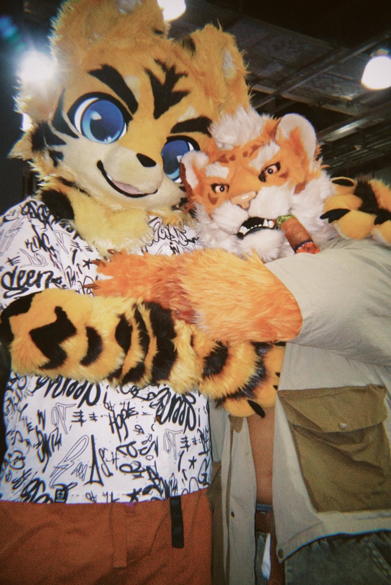 TigerHRMS's tweet photo. 极兽聚快乐合影2！！#furry #fursuit https://t.co/1dZa6J7JqZ