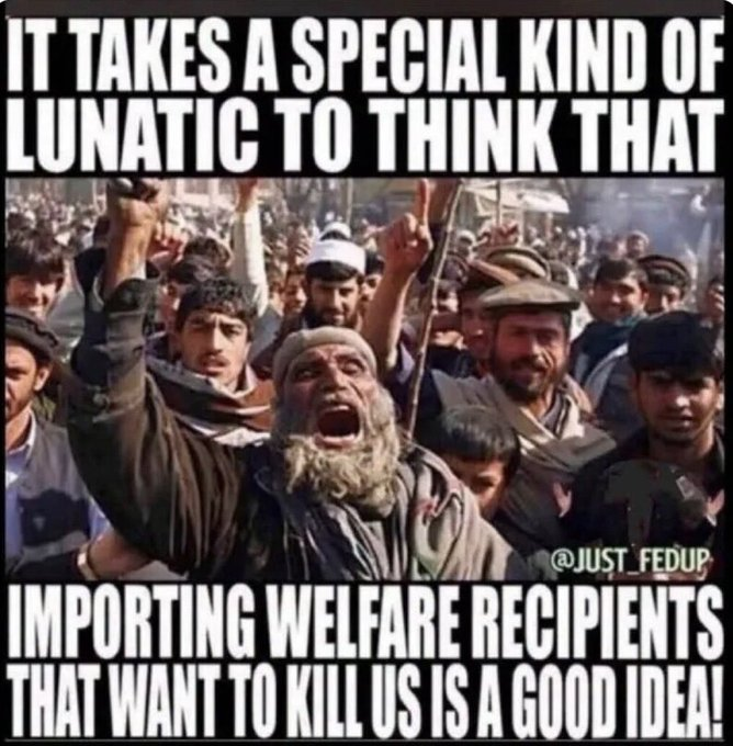 onceknownasstan's tweet photo. What can I say, libs aren't very bright. https://t.co/nRCOSNGrzJ