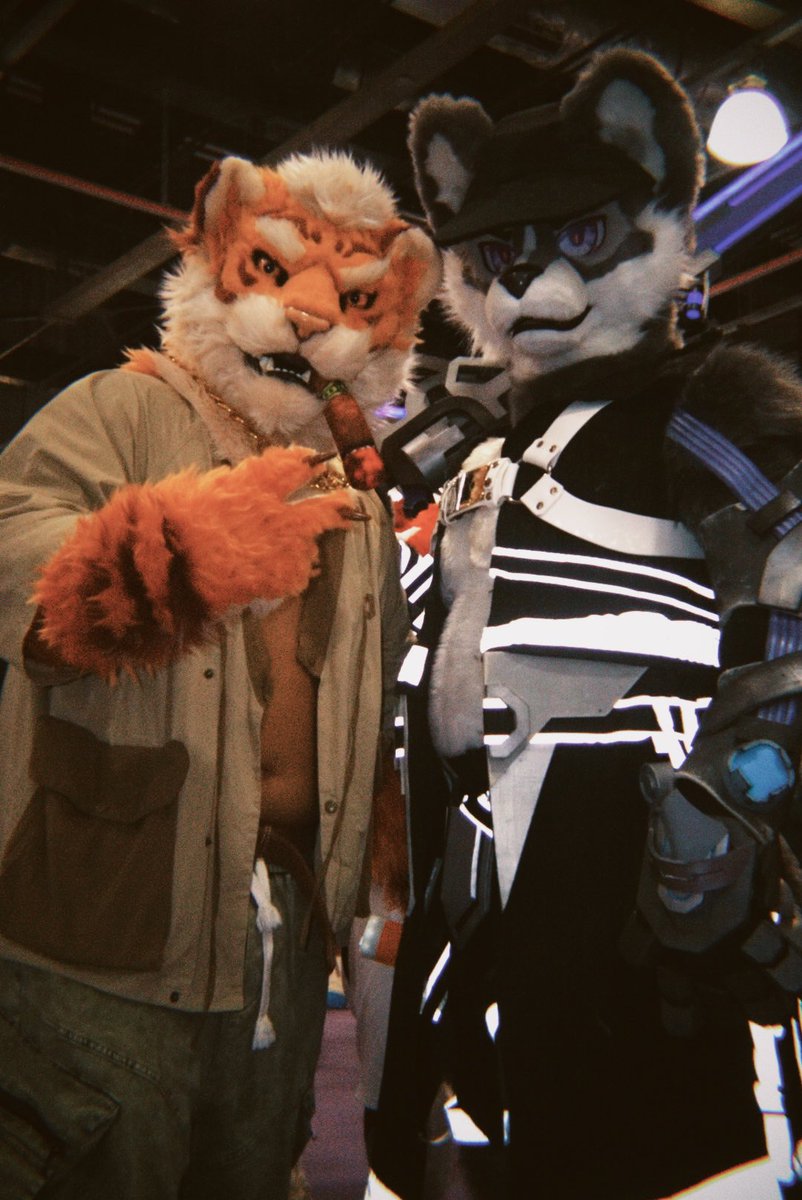 TigerHRMS's tweet photo. 极兽聚快乐合影3！！#furry #fursuit https://t.co/6fDusy1h6y