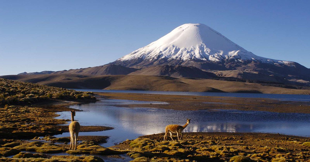 aricaldia's tweet photo. Arica y Parinacota afina los últimos detalles para recibir el 42° Congreso Achet – Asociación Chilena de Empresas de Turismo 
https://t.co/pbxdyLNFc1 #Achet #congresoachet #AricaParinacota #aricaldia https://t.co/dqz9ARoI3n