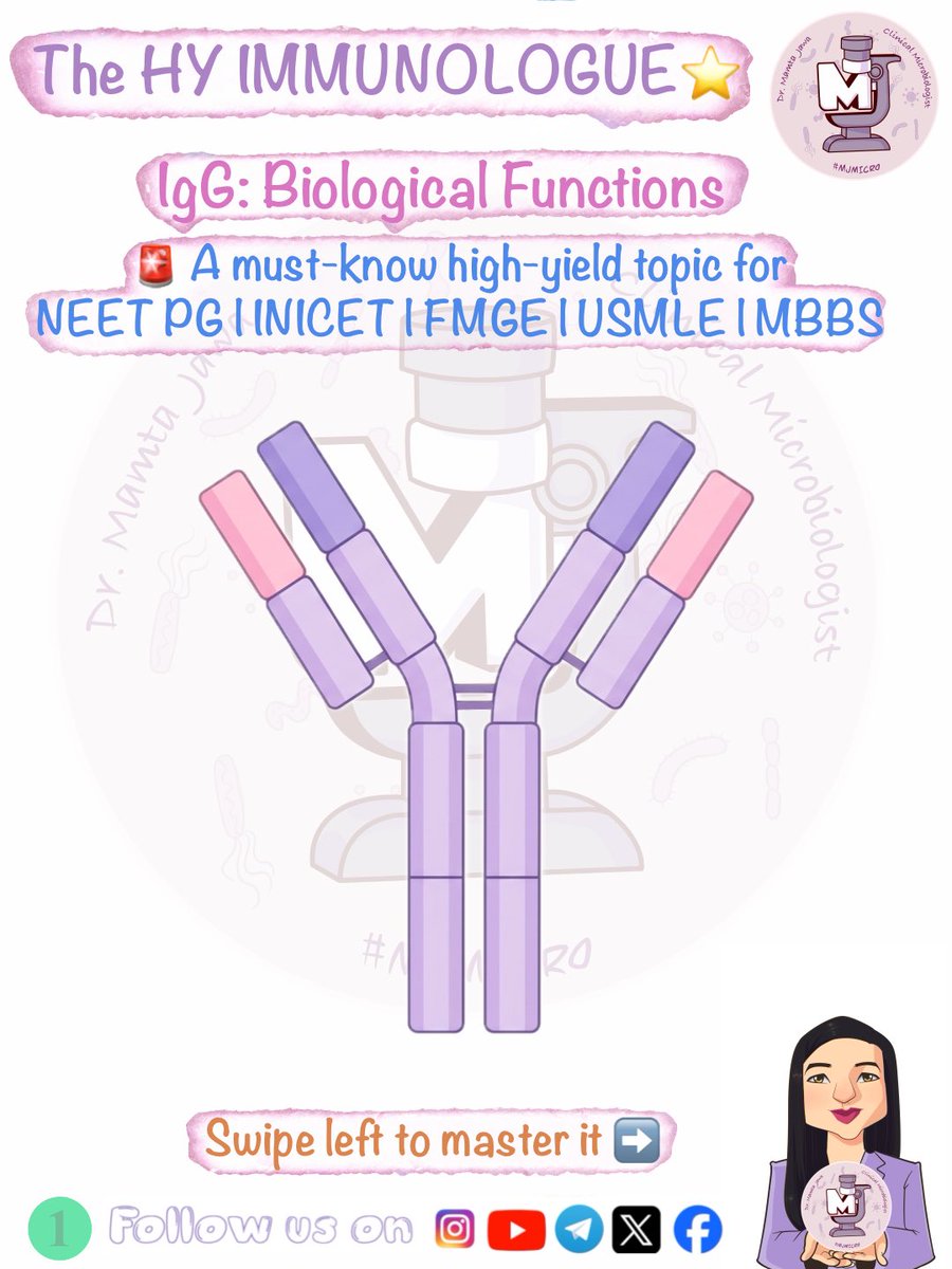 MJ_MICRO's tweet photo. #MamtaJawa #MJMICRO #MedTwitter #MedX #MedTwt #microtwitter #microbiology #neetpg #inicet #fmge #usmle #mbbs 

The next edition of "The HY IMMUNOLOGUE" is here! 🧬🔬

Today we are breaking down the master of secondary immune responses: IgG. Check out the slides attached below for the full high-yield visual breakdown!

🎯 MICROBIOLOGY TEST SERIES REMINDER:
Our 100% FREE Microbiology Test Series is running live on the MJMICRO App! 

📱 How to join:
1️⃣ Download the MJMICRO App
🤖 Android: [https://t.co/U4SnHd82m1]
🍏 iOS: [https://t.co/m4CGbrScz1]
2️⃣ Attempt the high-yield mock test directly on the app
3️⃣ Watch the live paper discussion streamed simultaneously on the App & our YouTube Channel (MJMICRO): https://t.co/2UM0B31PYO

Let's Crush Micro with MJMICRO ✨💜🧿