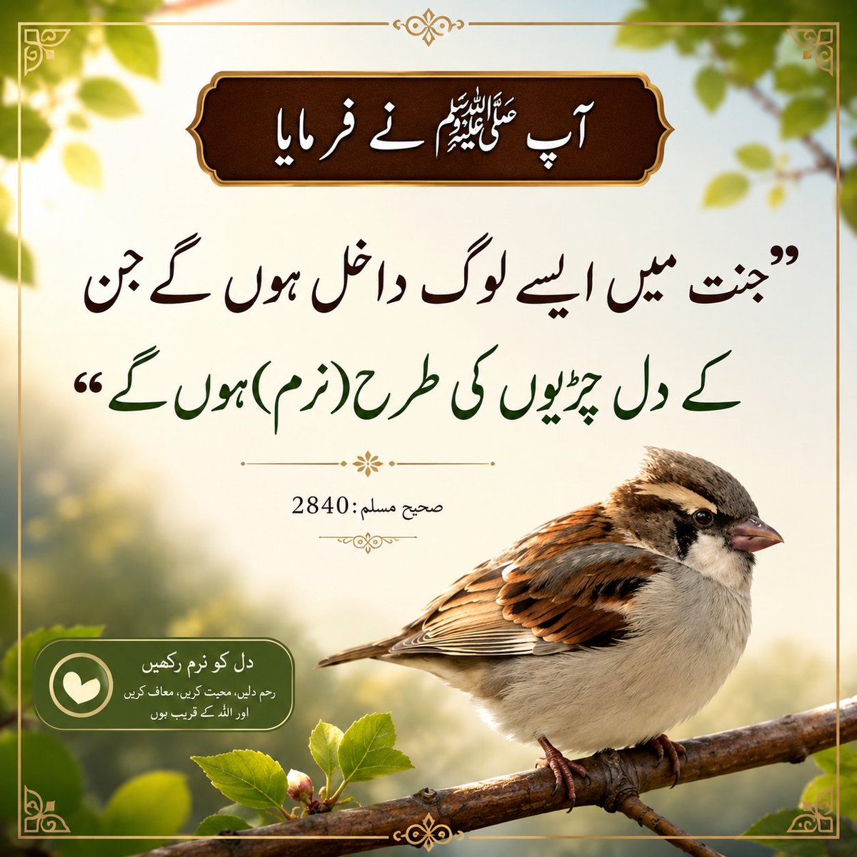 RajababarPk's tweet photo. دل کی نرمی ایمان کی خوبصورتی ہے۔ 🕊️

رسول اللہ ﷺ نے فرمایا کہ جنت میں وہ لوگ داخل ہوں گے جن کے دل چڑیوں کی طرح نرم ہوں گے۔
آئیے اپنے دلوں کو رحم، محبت، عفو اور اخلاص سے آباد کریں، کیونکہ نرم دل اللہ تعالیٰ کو محبوب ہوتے ہیں۔

اللّٰہم اجعل قلوبنا رحيمةً وخاشعةً. آمین۔ 🤲 https://t.co/zxaZiy4LdW