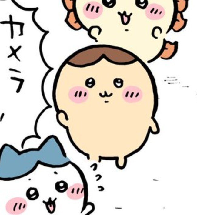 meowkkotsu's tweet photo. unc looking kinda bald https://t.co/lSiSPK3vQ5