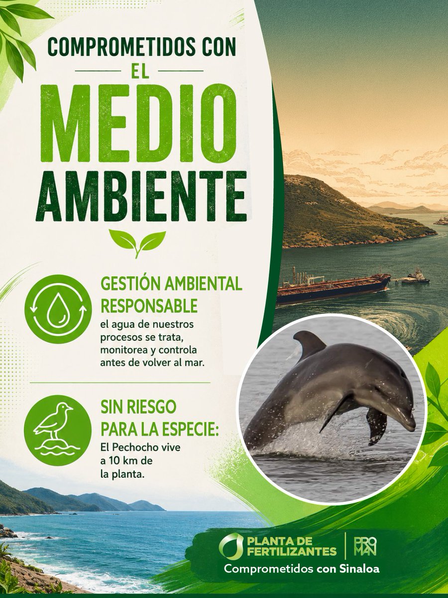 PlantaDeFertili's tweet photo. Nuestro compromiso también se refleja en la gestión ambiental responsable.

Conoce algunos datos sobre nuestro trabajo en Topolobampo.

#Topolobampo #ComprometidosConTopolobampo https://t.co/MBoGfD15SM