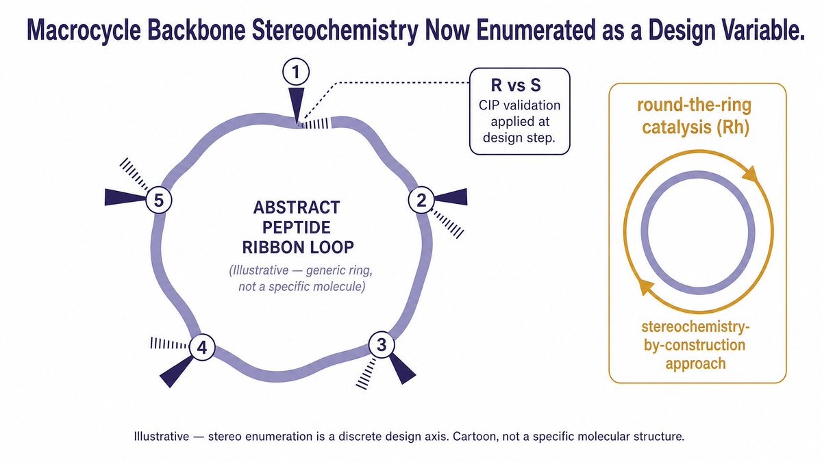 ISAcademy2017's tweet photo. Without defining your stereochemical landscape before hitting lead optimization, you’re relying on luck instead of design. ​At KaiGenesis Labs, we're building stereo-aware cyclic backbone design engines that revolutionize the way biotechs design macrocycles and cyclic peptides. https://t.co/DYmCFvnHdw