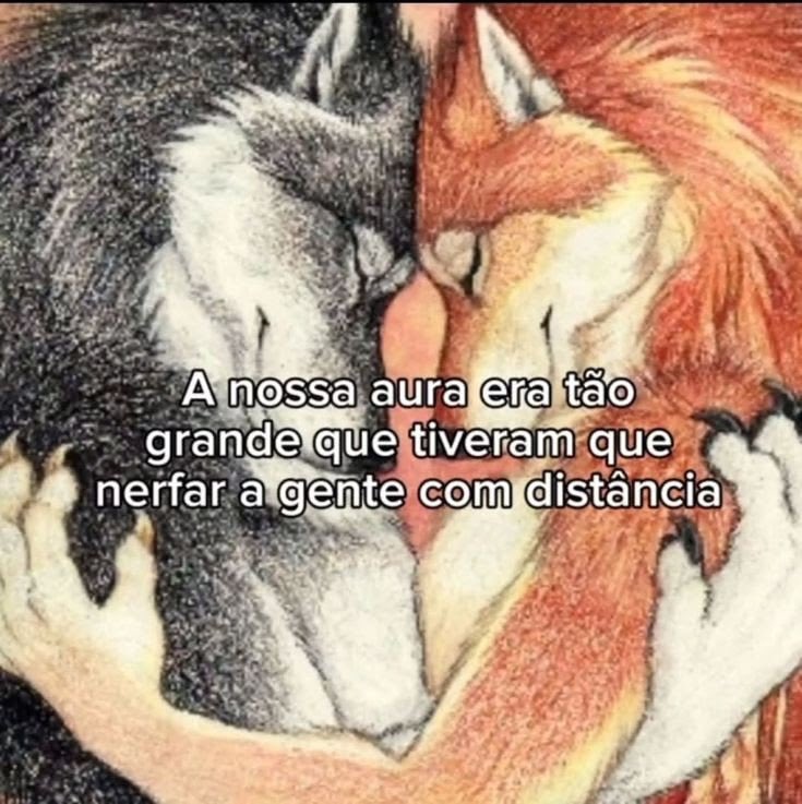 shitpostverdade's tweet photo. https://t.co/V3Gqr06NzI