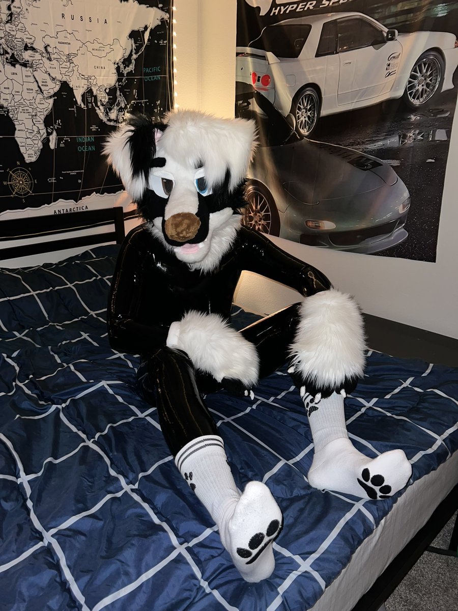 rubber_dog's tweet photo. ✨ https://t.co/jxL3Jc2GIm
