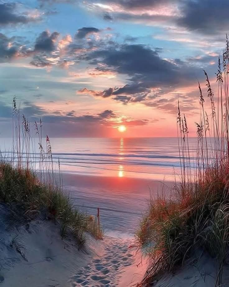 Aleksan52094351's tweet photo. Good evening https://t.co/1LUpz7XzEK