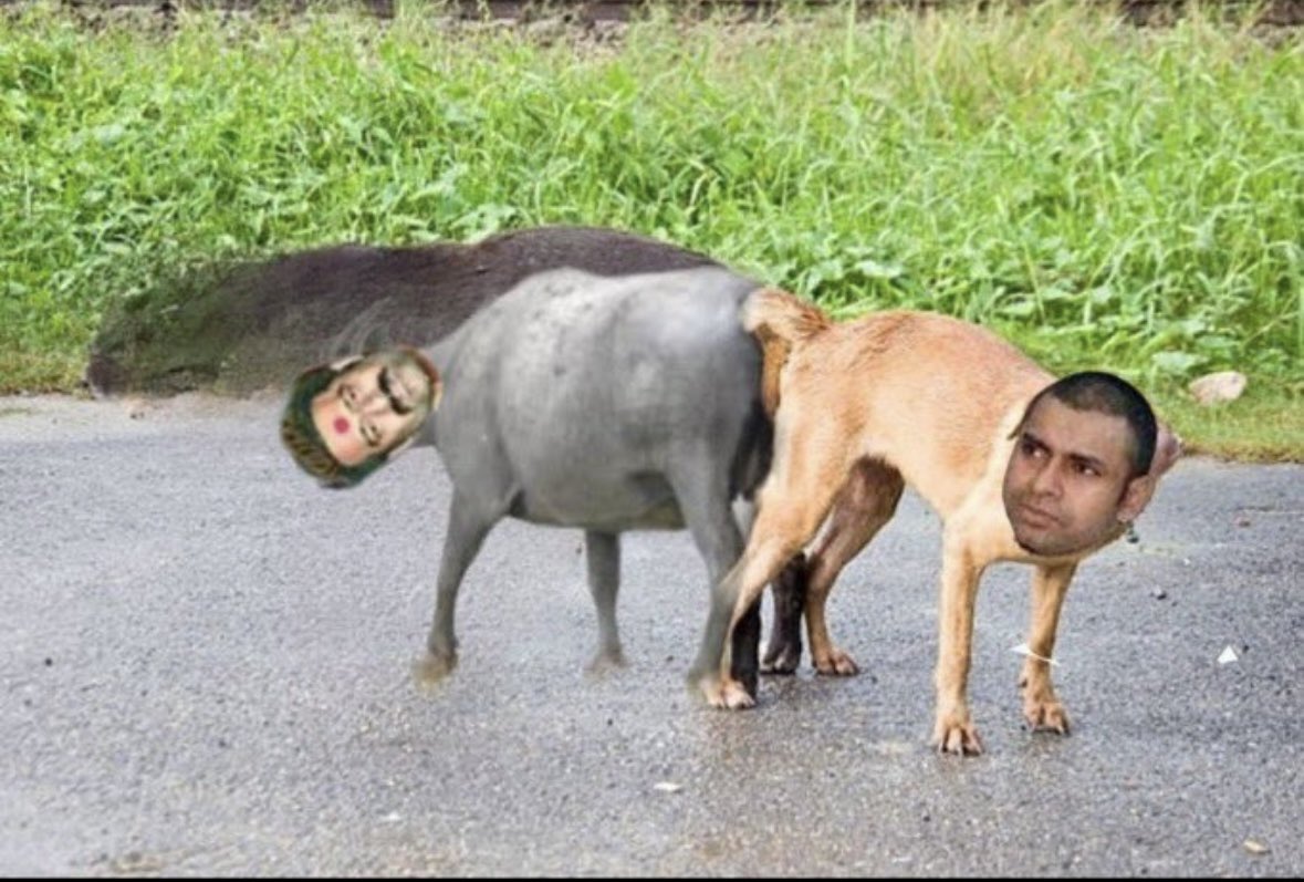 AnilGMB's tweet photo. @Nanduuu22 Eppadu set 🔥🔥🔥close friends 🐃🐶😂😂😂😂 https://t.co/sZkv0KEPwF