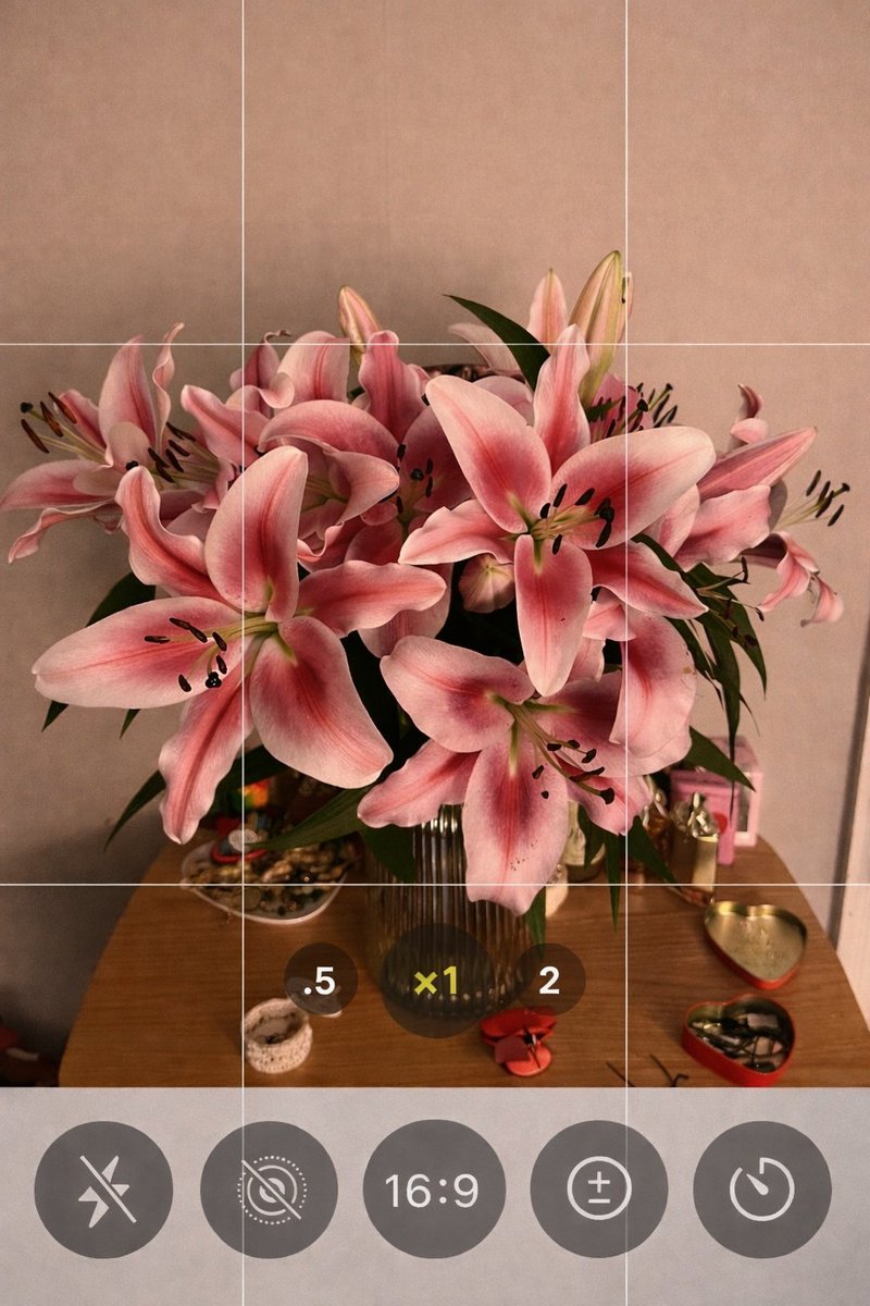floraldiaryyy's tweet photo. https://t.co/EXsCLhgbyy