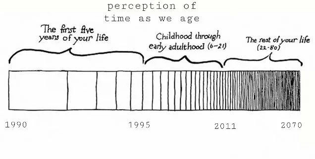 dividendology tweet picture