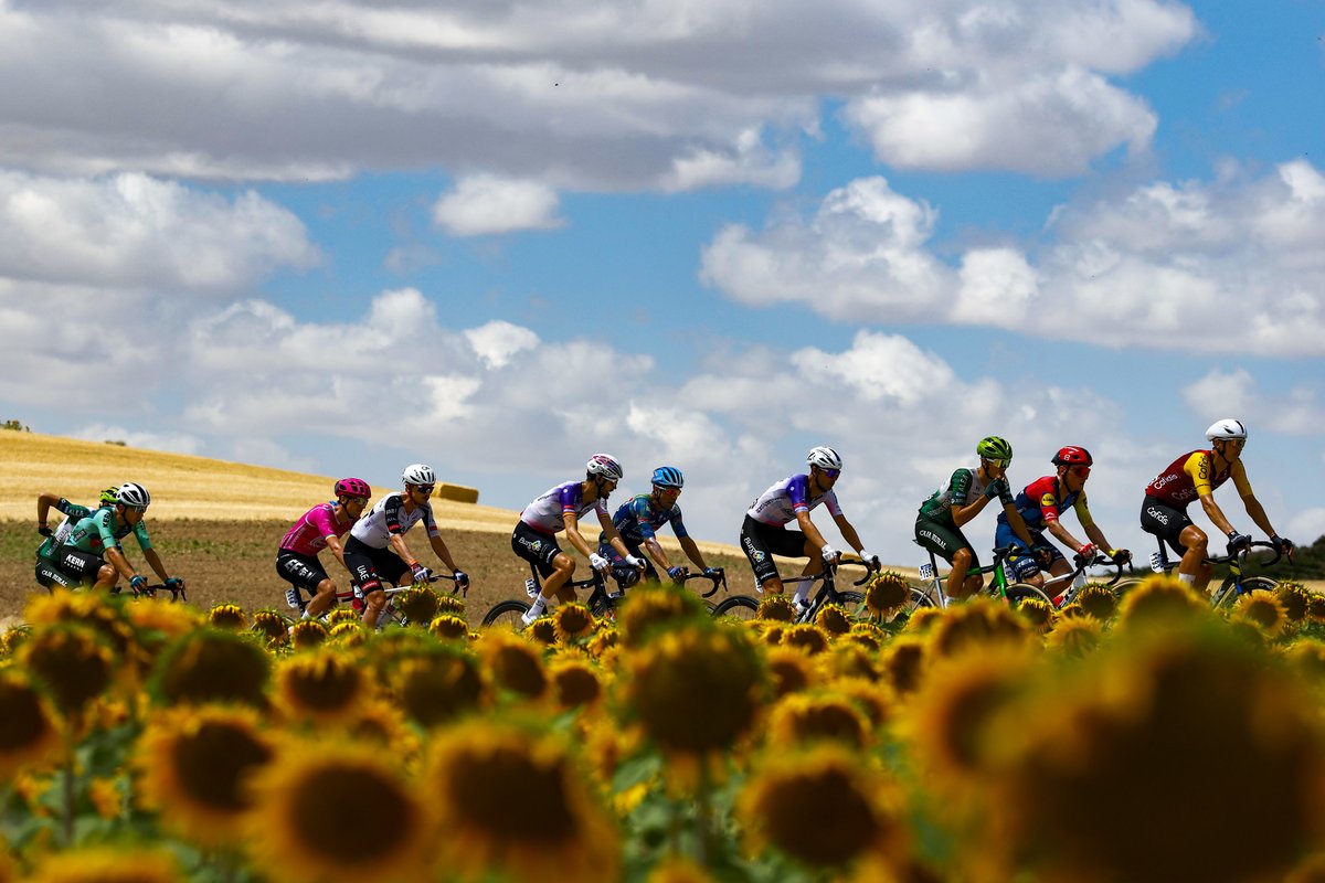BurgosBH's tweet photo. 𝑻𝒊𝒆𝒓𝒓𝒂 𝒔𝒂𝒈𝒓𝒂𝒅𝒂 𝒅𝒐𝒏𝒅𝒆 𝒚𝒐 𝒏𝒂𝒄𝒊́ 🎶🤩 

📷 @SprintCycling

#CicloturismoBurgos #VueltaBurgos 🇪🇸 https://t.co/hSZD7DzXLr