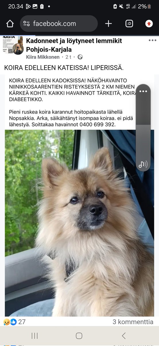 JP_Latti's tweet photo. #Liperi #Niinikkosaari #Juhola #Joensuu : Kadonnut / karannut koira https://t.co/Lf5ZfQ7Gqu