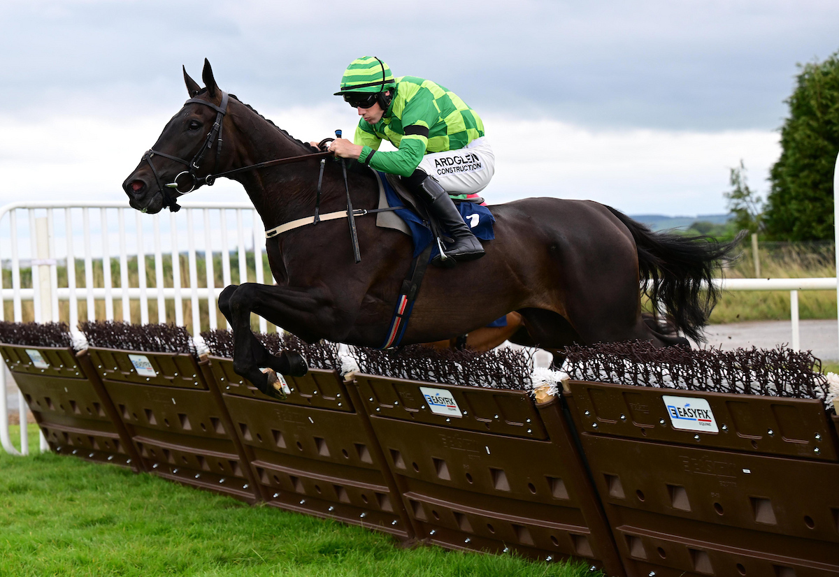 RoscommonRaces's tweet photo. Race 2 : The James Lohan Engineering Excellence Maiden Hurdle.

'Clay Pigeons' and Brian Hayes win for trainer Willie Mullins and owners Aisling Byrne, Paul Raleigh &amp; Matthew Cunningham. 🎉

📸 - Healy Racing. https://t.co/Rs4Ex1QU6y