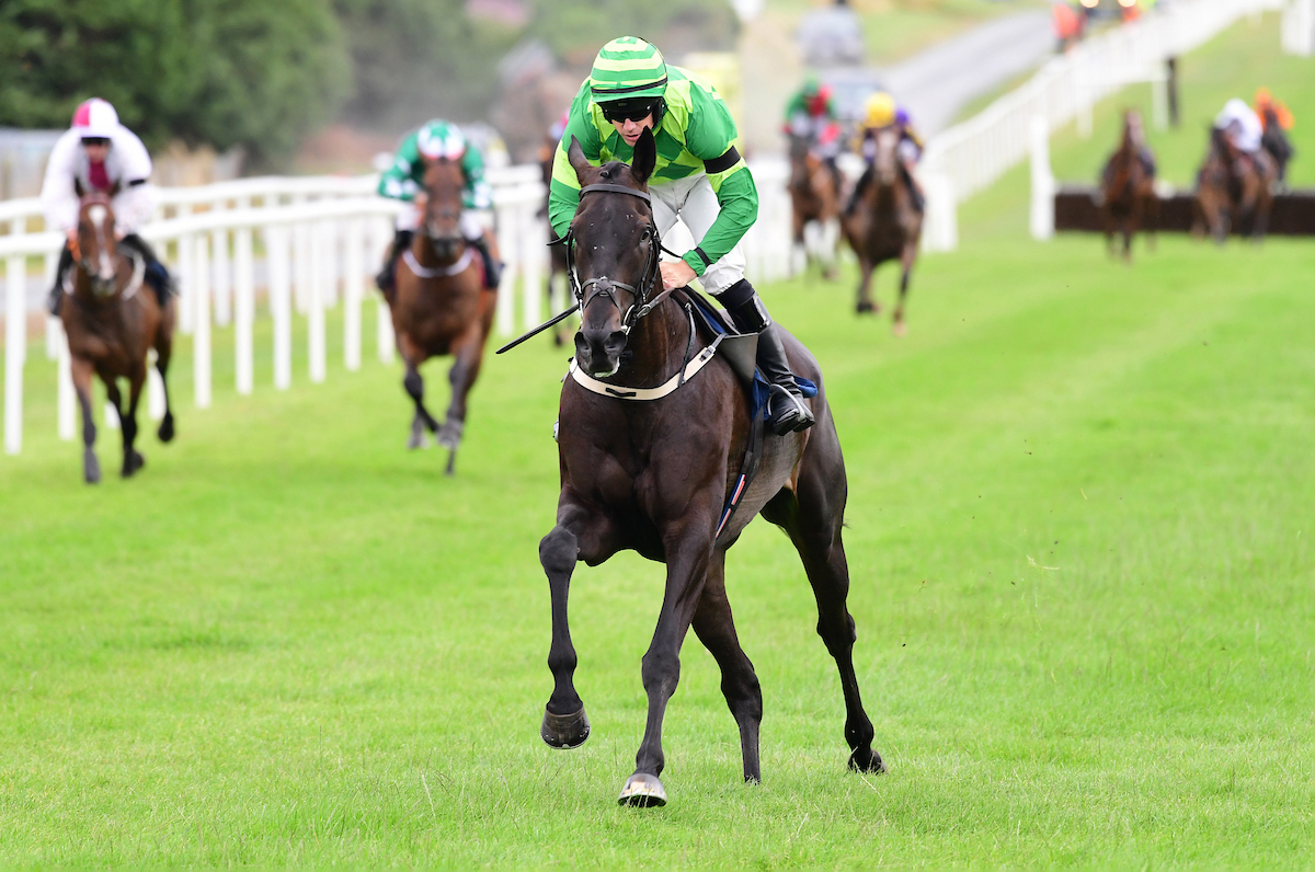 RoscommonRaces's tweet photo. Race 2 : The James Lohan Engineering Excellence Maiden Hurdle.

'Clay Pigeons' and Brian Hayes win for trainer Willie Mullins and owners Aisling Byrne, Paul Raleigh &amp; Matthew Cunningham. 🎉

📸 - Healy Racing. https://t.co/Rs4Ex1QU6y
