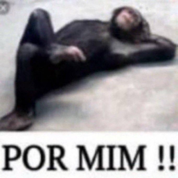 mingicapixaba's tweet photo. “se eu fosse falar todos os temas essa disciplina duraria 3 anos” Ora pois que dure https://t.co/yf6xcbHGsu