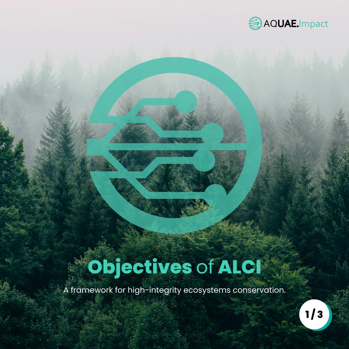 Aquaeimpactorg's tweet photo. Healthy ecosystems create lasting value through interconnected ecosystem services. ALCI provides a framework for measuring ecosystem performance and supporting high-integrity, long-term conservation.
#AQUAEImpact #ALCI #NatureBasedSolutions https://t.co/SqA8KpDRSG