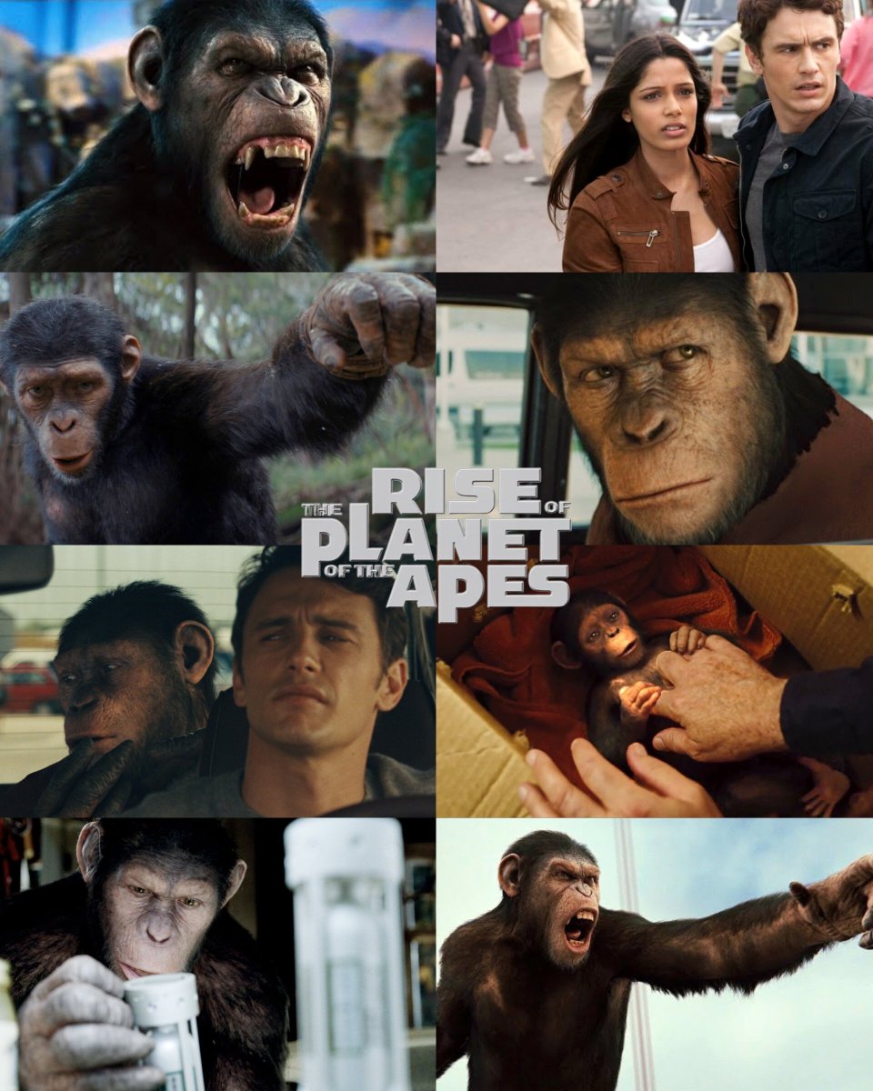 Harishsj16's tweet photo. Caesar, the infant of a chimpanzee on which an Alzheimer's drug was tested, displays high intelligence and is adopted by Will Rodman. Upon reaching adolescence, Caesar begins to question his identity
.
.

🍿Share this post with your friends and follow @Harishsj16  for all you need to know about movies 😃🎬 
#ceasar #riseoftheplanetoftheapes